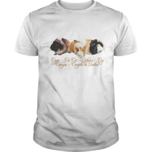 Polera Cuy 2 cuys (modelo 219) hombre