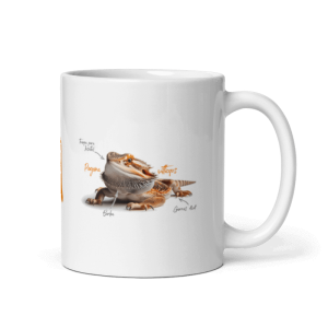 Tazón Dragón Barbudo «Pogona vitticeps 3» (modelo 264)